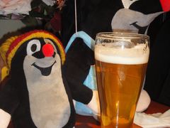 -布拉格餐厅· 中欧捷克菜(全国首店)