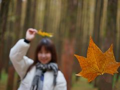 -山王坪喀斯特国家生态公园