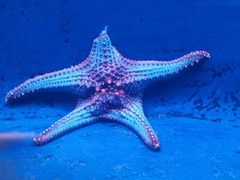 -沈阳海洋探索中心