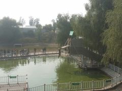 -北京鹿世界主题园