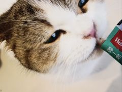 -怪兽屋·羊驼·猫咖·狗咖(俊华广场店)