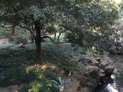 景点-北寺塔
