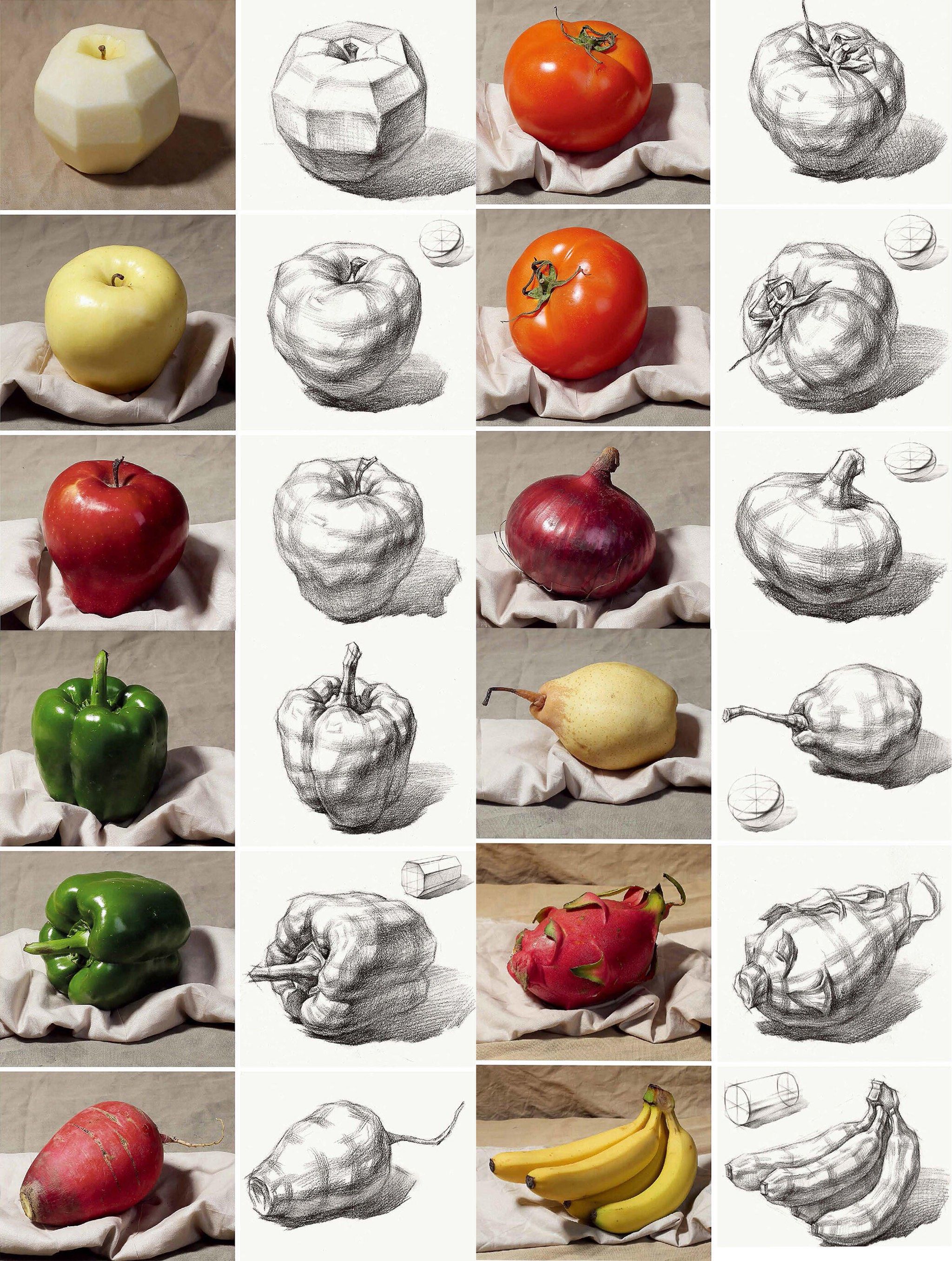 画素描之水果系列结构素描教程绘画入门教程