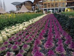 -中国天府农业博览园