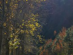 -百里山水画廊