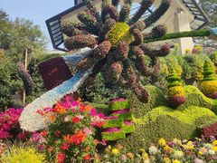 -杭州植物园