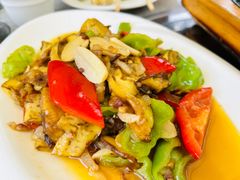 -山菌美食苑(振兴路店)