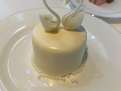 -BLACKSWAN黑天鹅(环球店)