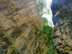 -鹿院坪生态旅游景区