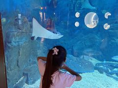 -烟台海昌鲸鲨海洋公园