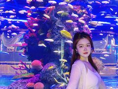 -石家庄极地海洋世界