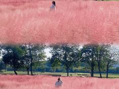 -汉长安城未央宫国家考古遗址公园