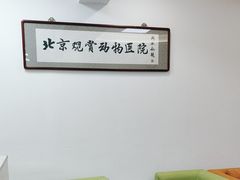 -北京观赏动物医院·24小时大型综合·猫专科·异宠专科