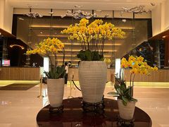 -深圳观澜格兰云天国际酒店