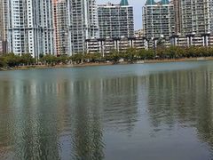 -西北湖绿化广场