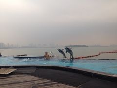 iphone_upload_pic-苏州金鸡湖中茵皇冠假日酒店