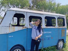 -杭州湾海上花田景区