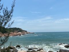-广东惠东海龟国家级自然保护区