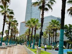 -金沙湖公园