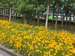 -大学城夜市