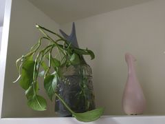 -1点点(雨花西路店)