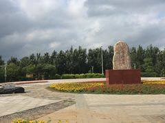 -蒲河岛湿地公园