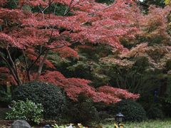 -中山公园