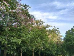 -水濂山森林公园