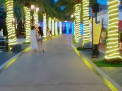 -三亚海昌梦幻海洋不夜城