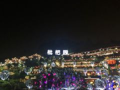 -枇杷园食为鲜火锅(南山店)