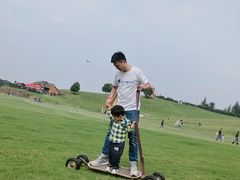 -衢州飞鸿滑草场