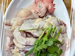 -力哥地道海南菜·联谊文昌鸡老店