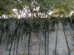 -沧浪亭