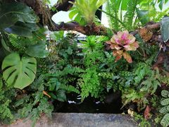-北马山庄植趣咖啡