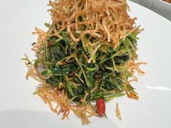 巧拌豆苗-四季民福烤鸭店(王府井灯市口店)