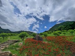 -广州市石门国家森林公园