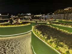 -莫子山公园