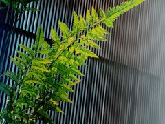 -泉客厅Spring Pavilion(303M空中会客厅)