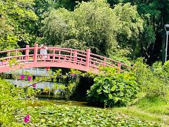 -东莞植物园