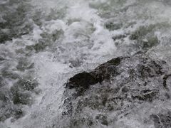 -白河湾生态旅游一条川