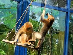 -大连森林动物园