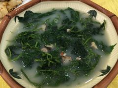 上汤桑叶-姚林轩