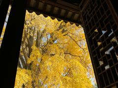 -苏州上方山国家森林公园