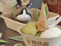 -极拉图·现制冰淇淋(大卫城店)