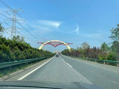 -上海海湾国家森林公园