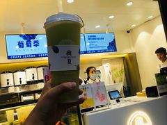 -树夏(锦里店)