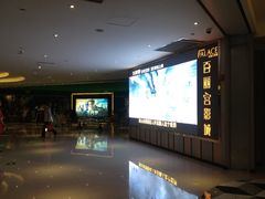 iphone_upload_pic-百丽宫影城(CGS激光苏宁广场店)