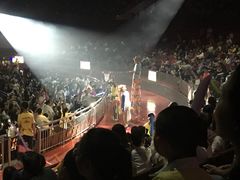 -灵玲国际马戏城