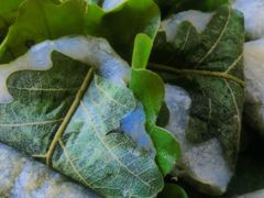 -华龙特色大骨鸡农家菜馆