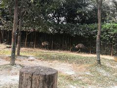 -南昌动物园